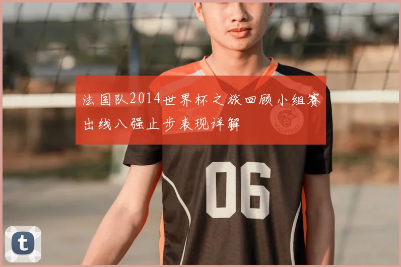 法国队2014世界杯之旅回顾小组赛出线八强止步表现详解