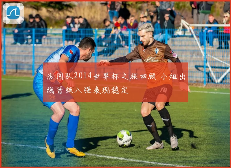 法国队2014世界杯之旅回顾 小组出线晋级八强表现稳定