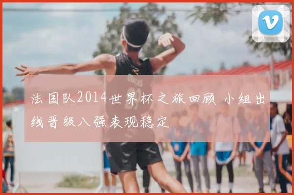 法国队2014世界杯之旅回顾 小组出线晋级八强表现稳定