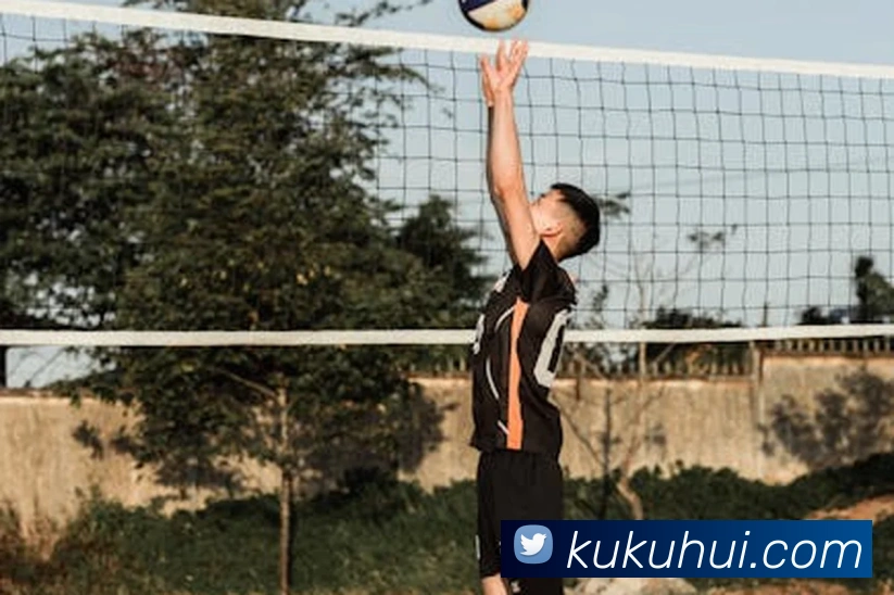 华体体育官网登录平台生态图