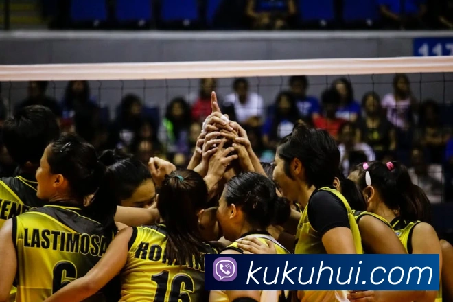 华体体育官网登录APP 封面图